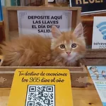 Casa Morlans 3000 2*