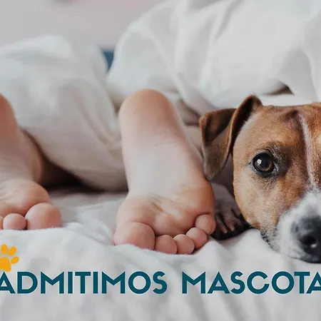 Hotel Casa Morlans 3000 2*