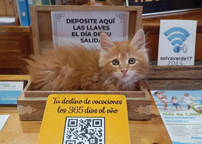 Casa Morlans 3000 2*