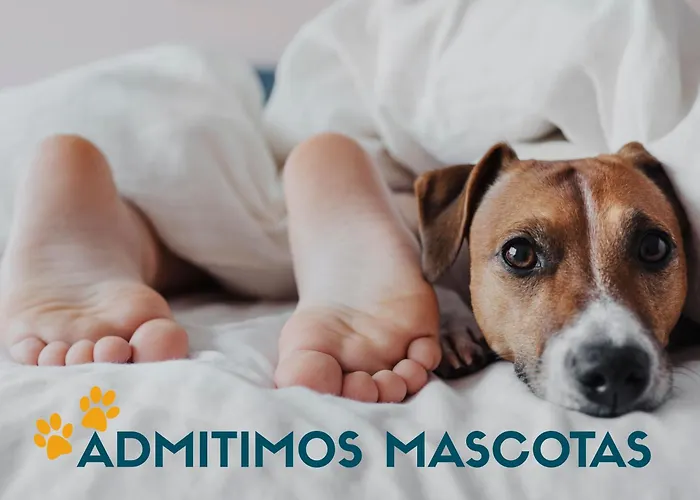 Ξενοδοχείο Casa Morlans 3000 2*